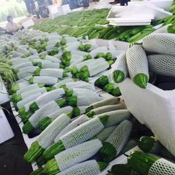 廣州和康餐飲 綠色、安全、及時的農副產品糧油配送首選